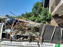 Best Same-Day Junk Removal Services  in Clyde, NC